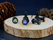 Load image into Gallery viewer, Precision Small Gauge Dark Raintree Single Flare Plugs with Abalone Shell
