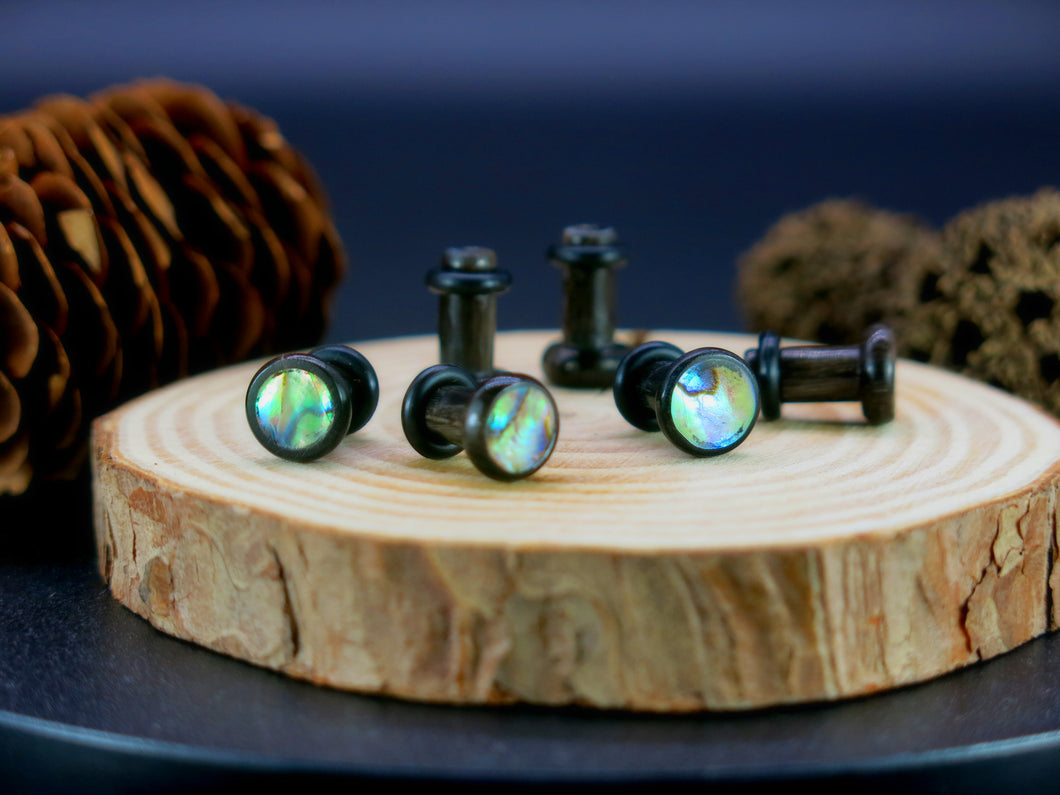 Precision Small Gauge Buffalo Horn Single Flare Plugs with Abalone Shell