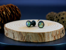 Load image into Gallery viewer, Precision Small Gauge Buffalo Horn Single Flare Plugs with Abalone Shell
