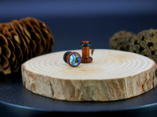 Load image into Gallery viewer, Precision Small Gauge Fijian Mahogany Single Flare Plugs with Abalone Shell
