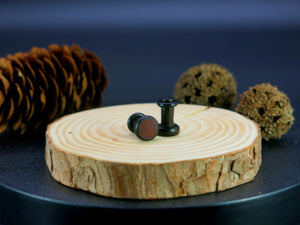 Precision Small Gauge Dark Raintree Single Flare Plugs with Burl Walnut