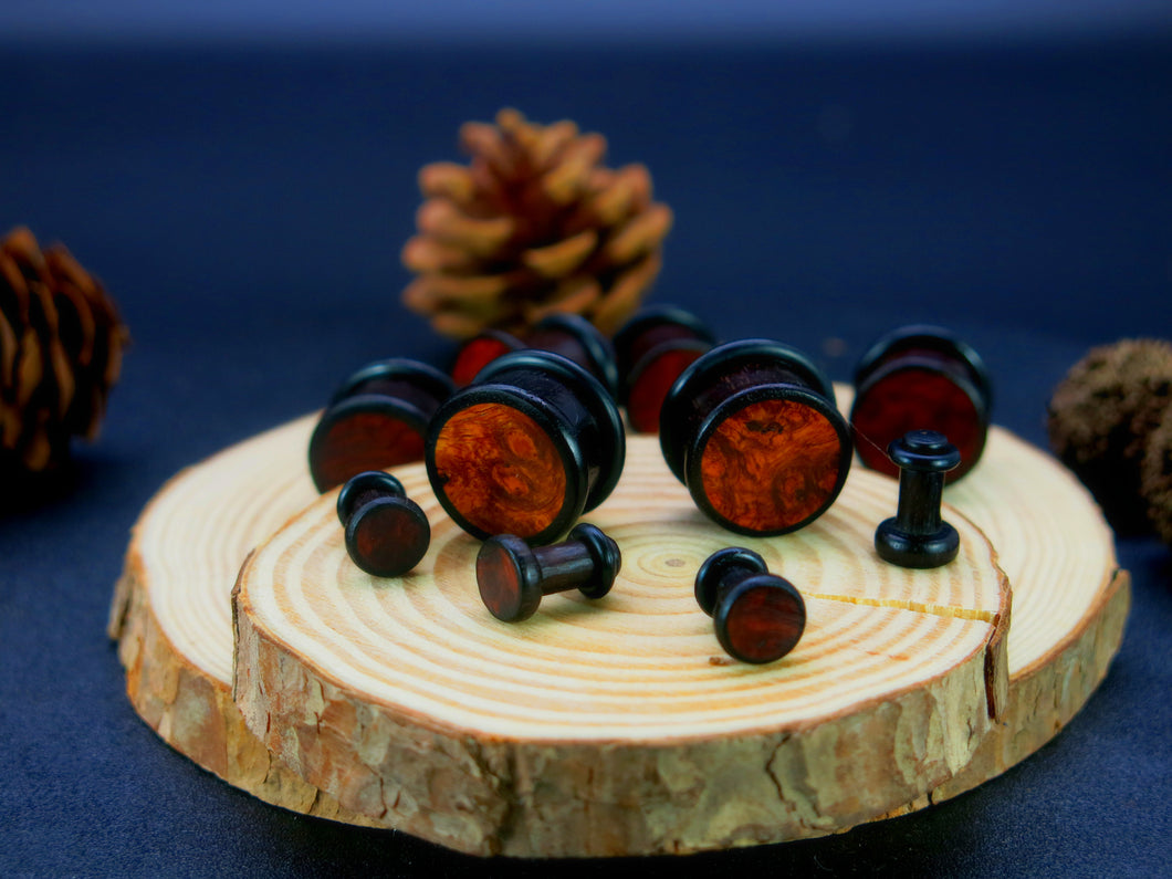 Precision Small Gauge Dark Raintree Single Flare Plugs with Burl Walnut