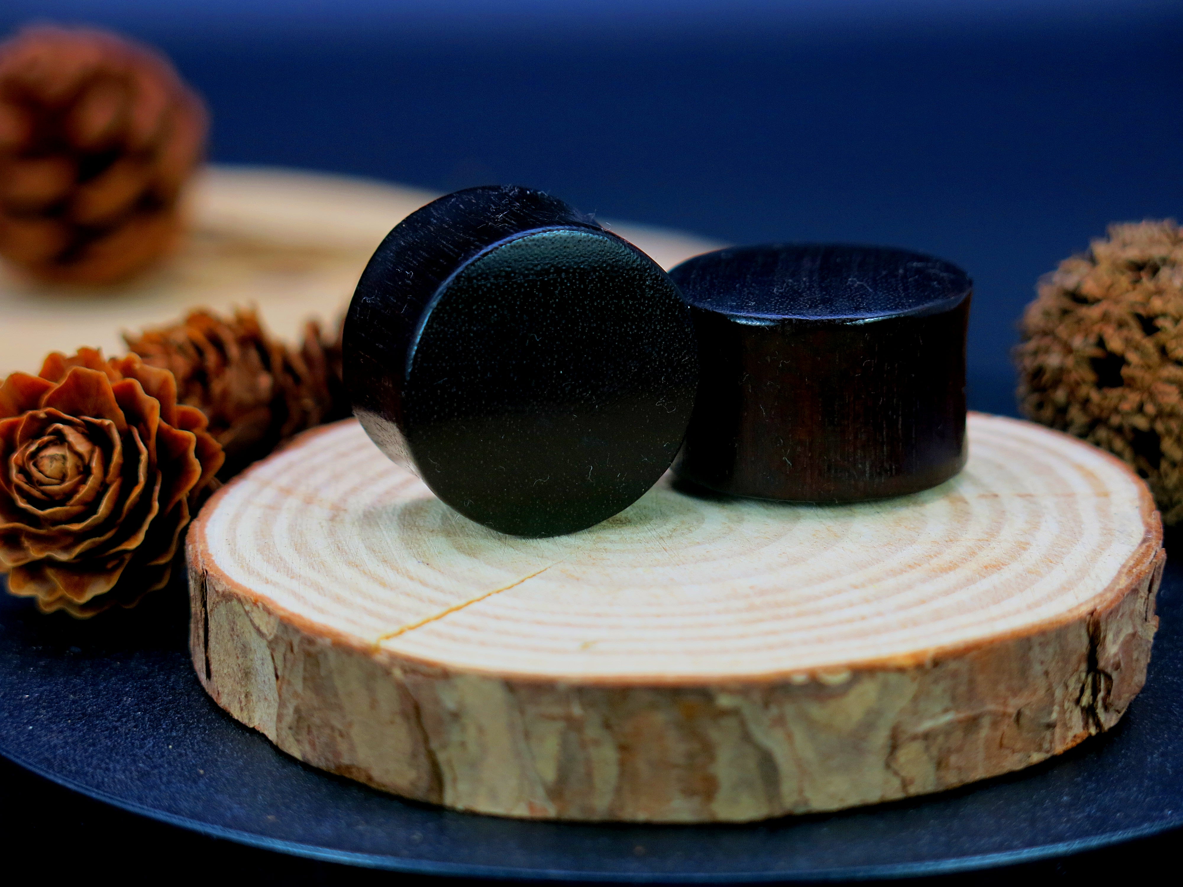 Dark Raintree Regular Plugs