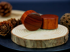 Blood Wood Regular Plugs