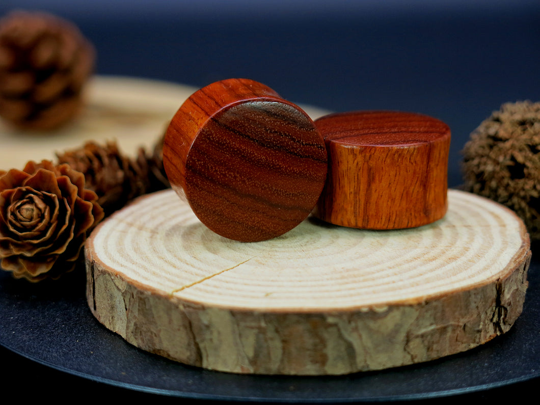 Blood Wood Regular Plugs