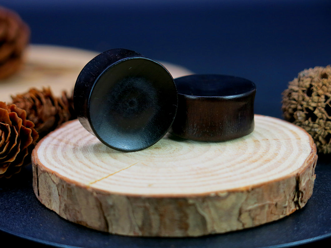 Dark Raintree Concave Plugs