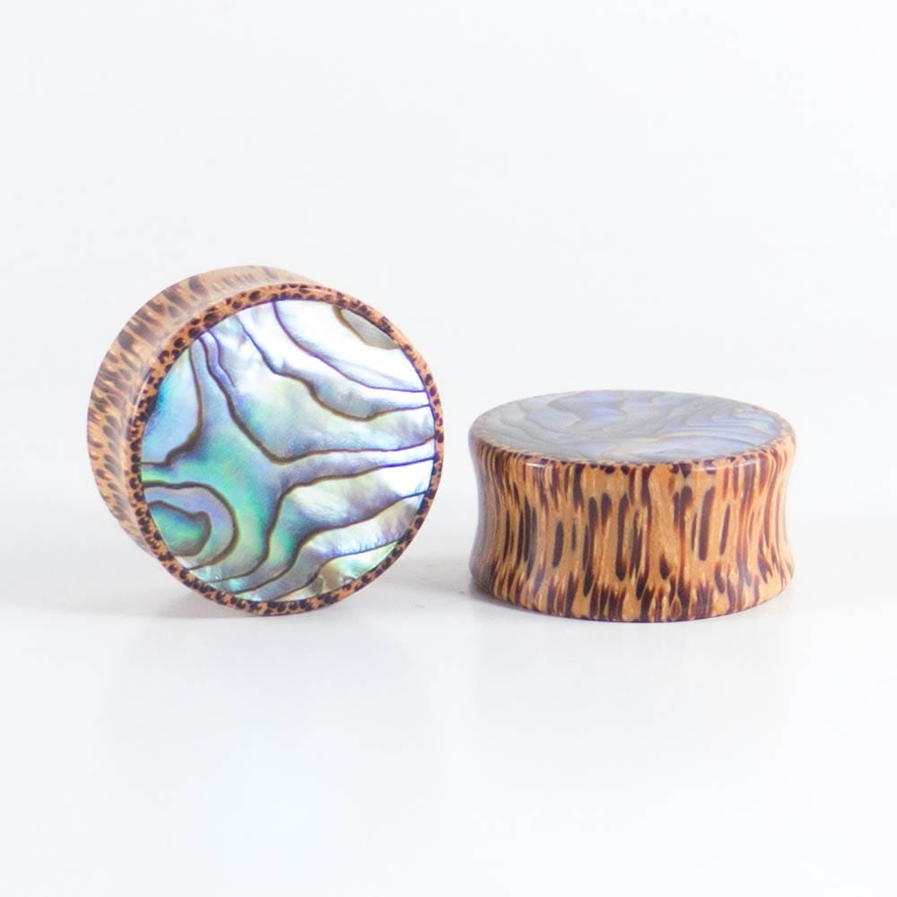 Coconut Palm, Double Flared Round Plugs with Abalone Shell Inlay